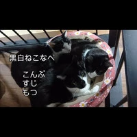 画像409