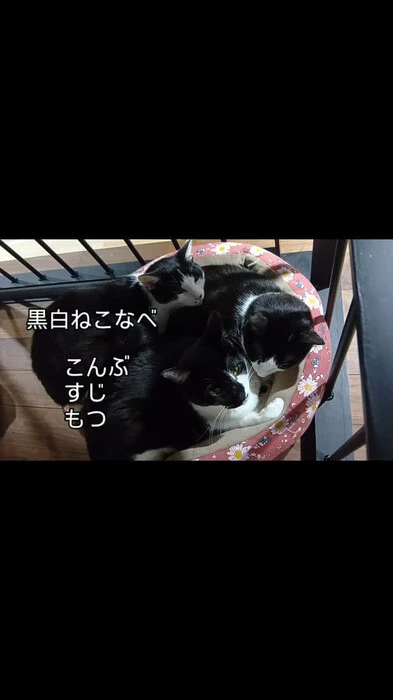 画像409