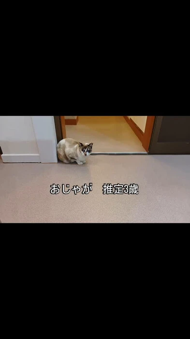 画像420