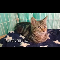 画像428