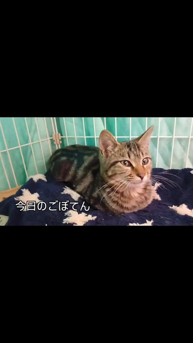画像428