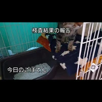 画像434