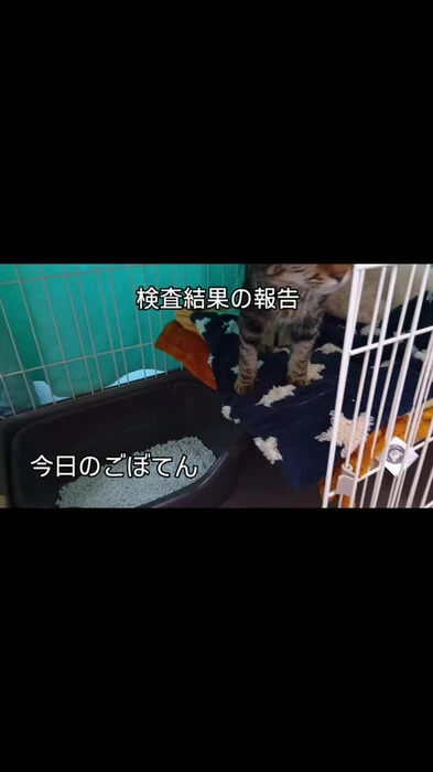 画像434