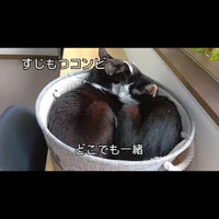 画像436