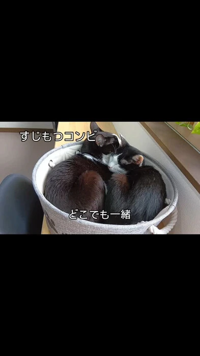 画像436