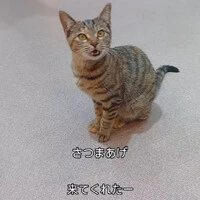 画像440