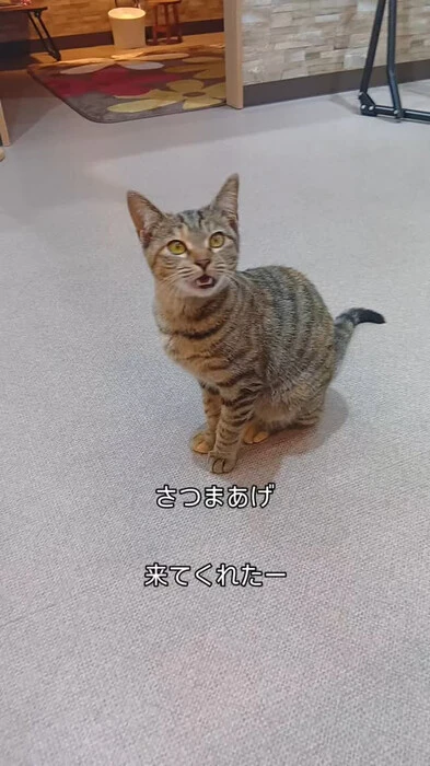 画像440