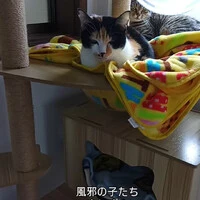 画像448