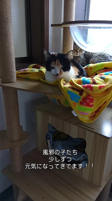 画像448