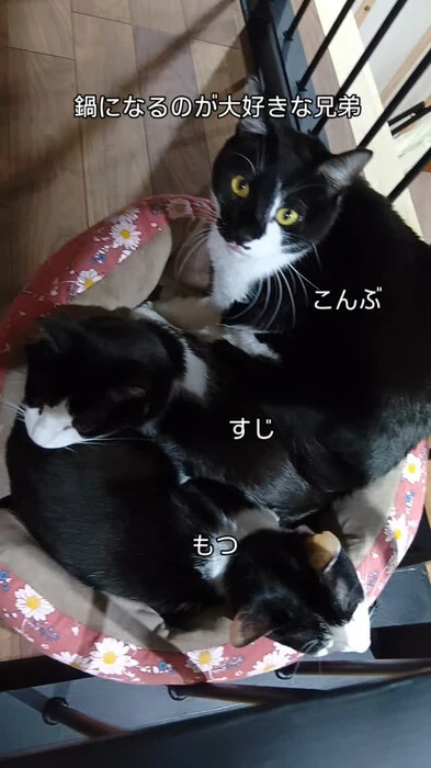 画像452