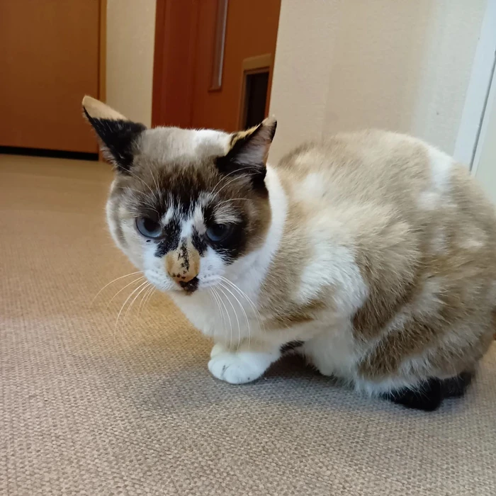 画像458