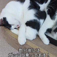 画像473