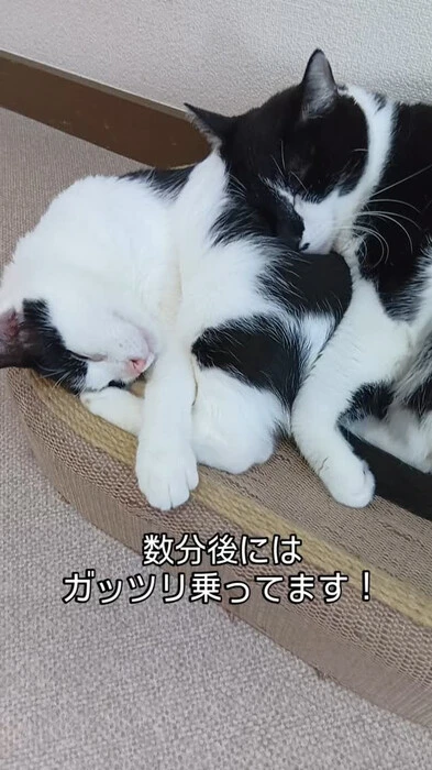 画像473