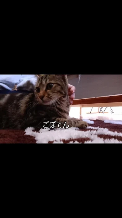 画像505
