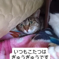 画像519
