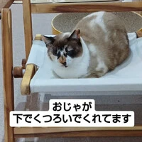 画像521