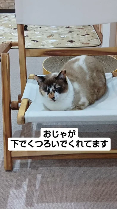 画像521