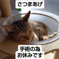 画像525