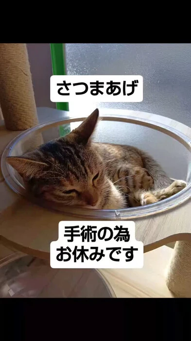 画像525