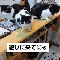 画像527