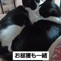 画像529