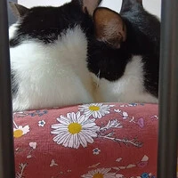 画像531