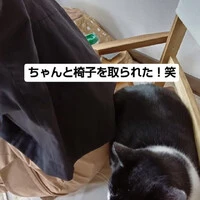 画像535