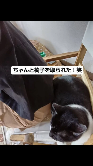 画像535