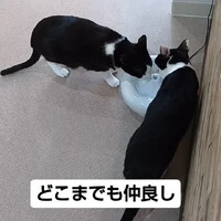 画像539