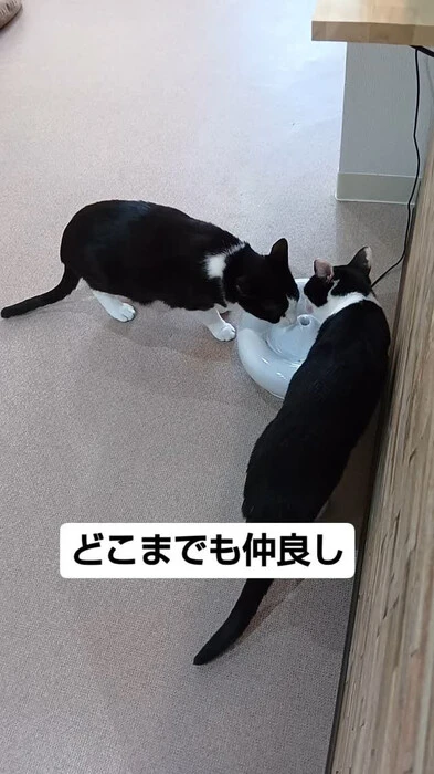 画像539