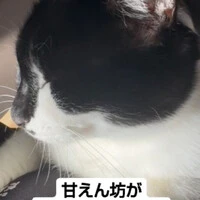 画像541