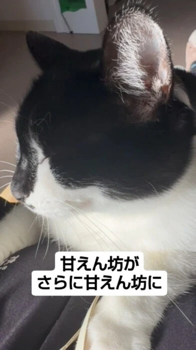 画像541