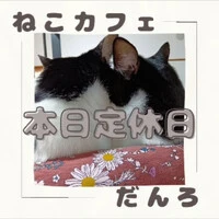 画像545