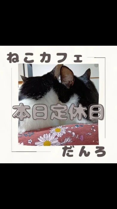 画像545