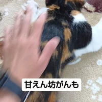 画像547