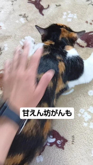画像547