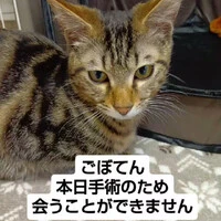 画像549