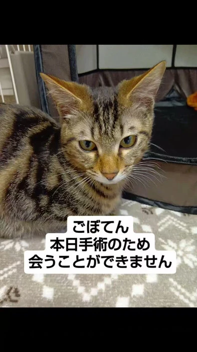 画像549