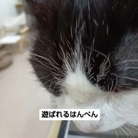 画像551