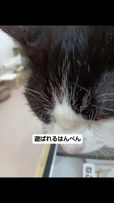 画像551