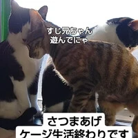画像557