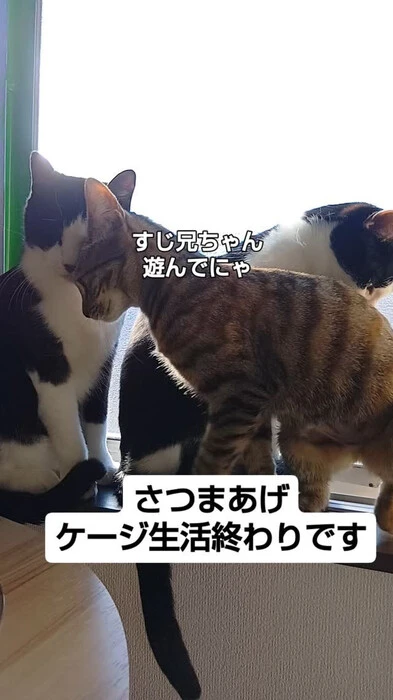 画像557