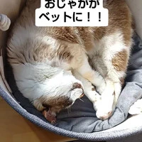 画像559