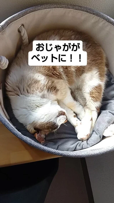 画像559