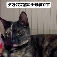 画像563