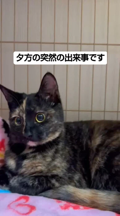 画像563