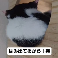 画像567
