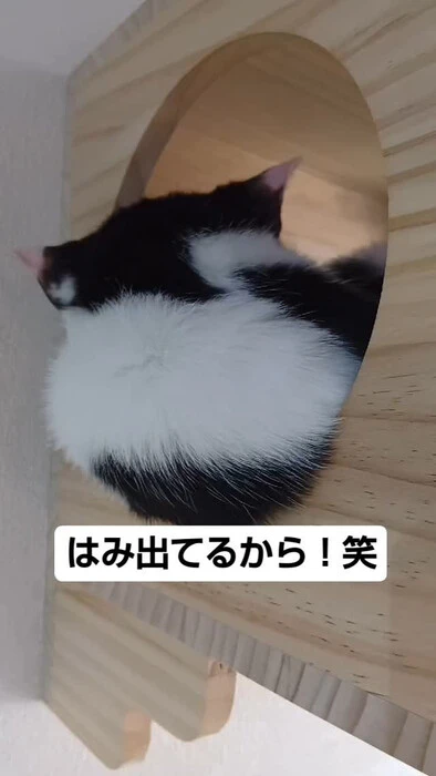 画像567