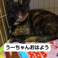 画像569