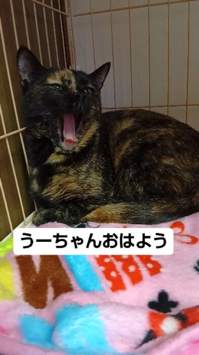 画像569